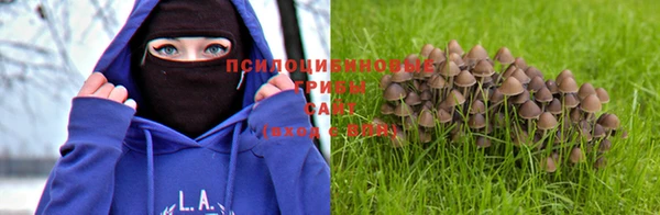не бодяженный Приозерск