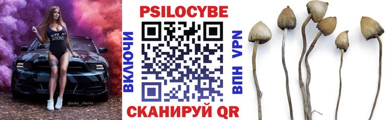 дарнет шоп  Судак  мориарти формула  Галлюциногенные грибы GOLDEN TEACHER 